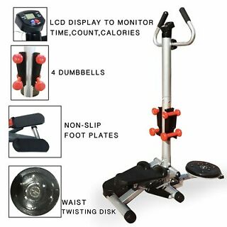 Stepper with Twister and Dumbbells